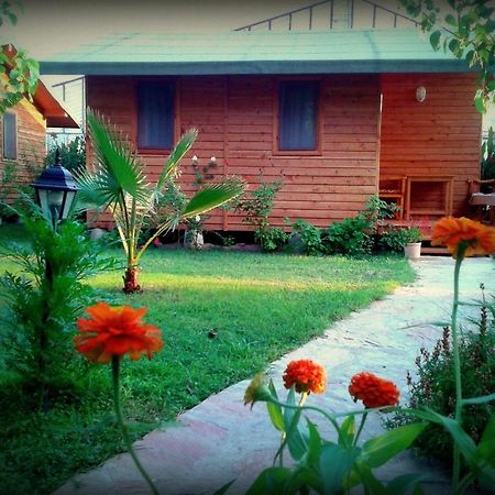 Sera Pansiyon Çıralı 部屋 写真
